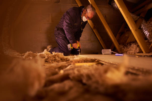 Trusted Georgetown, IL Insulation Contractor Experts